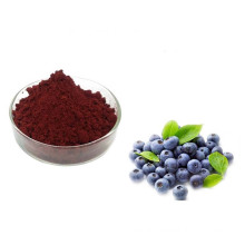 Vegan Spray / Freezed -dried blueberry powder